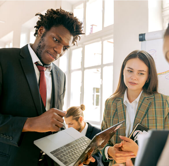 Get to Know About<br>CurioMart NFT